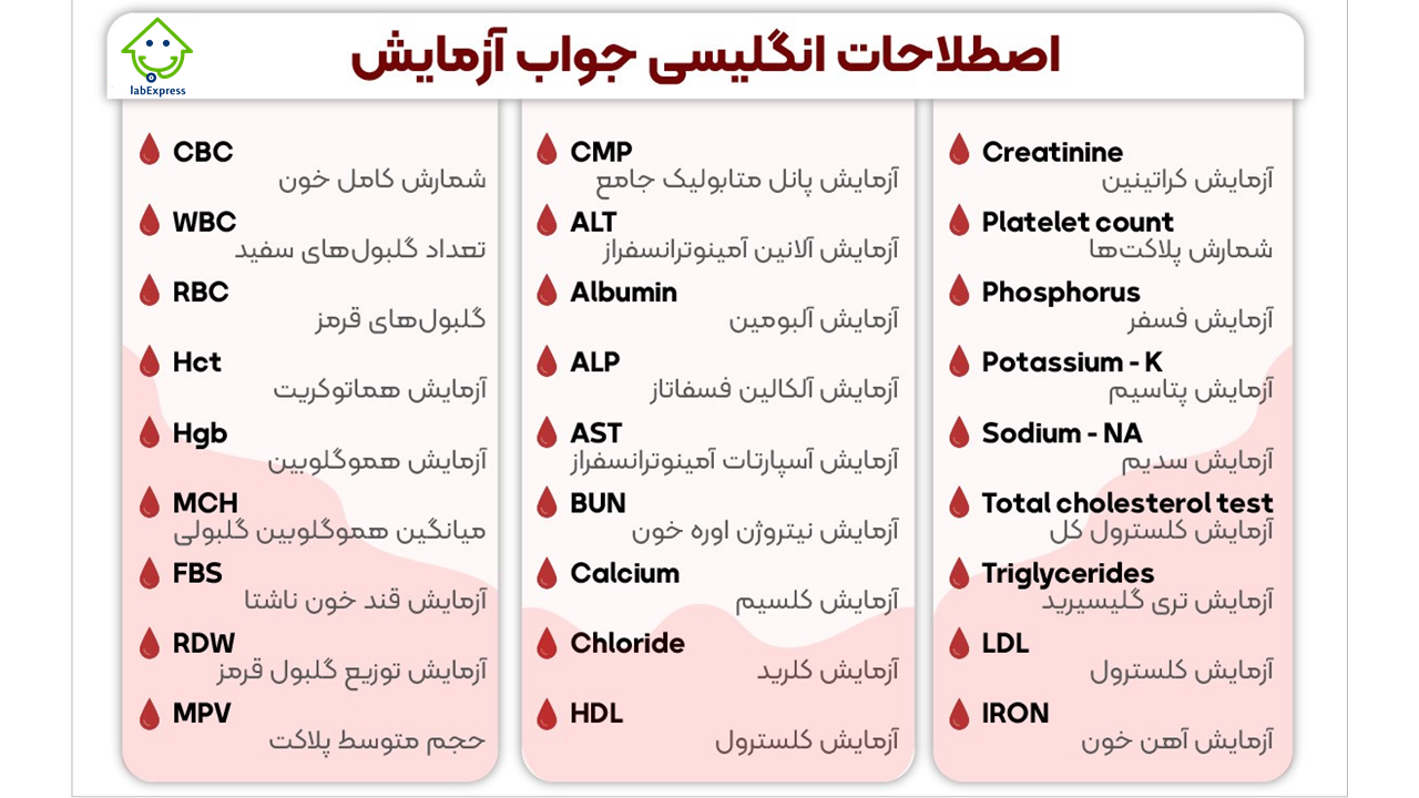 تفسیر آزمایش خون : راهنمای کامل و ساده برای خواندن جواب آزمایش